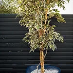 Luxury Apartment- Balcony- Private Rooftop And Jacuzzi- Common Pool 公寓 *